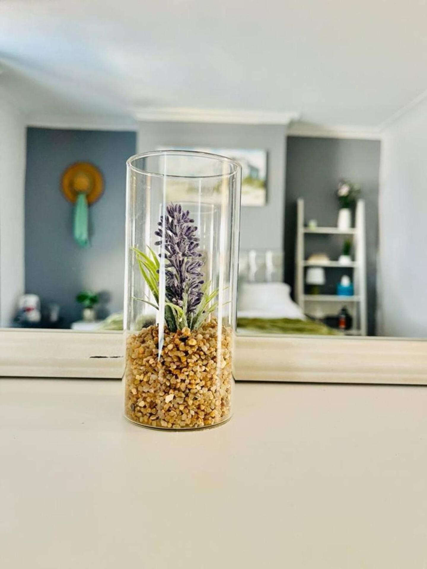 Alver House 朴次茅斯 外观 照片
